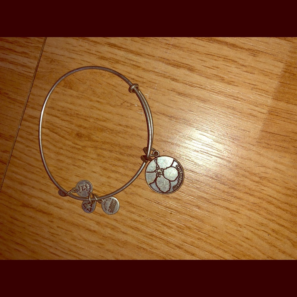 Alex and Ani bracelet